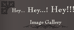 Image Gallery