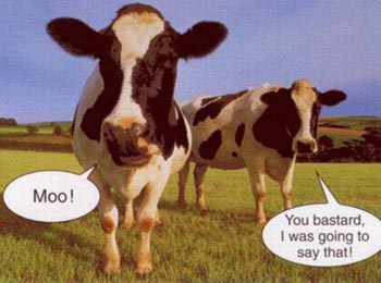 Moo